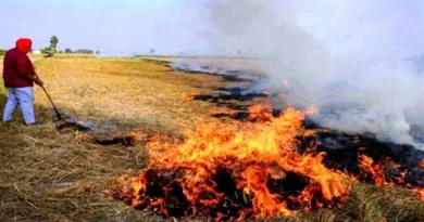 हरदा में किसानों से नरवाई न जलाने की अपील