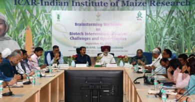 जैव प्रौद्योगिकी से भारत में मक्का की उपज में 15% तक इज़ाफ़ा संभव: आईआईएमआर