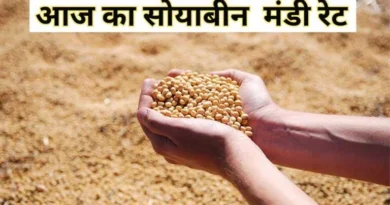 सोयाबीन मंडी रेट आज का (05 सितम्बर 2025)