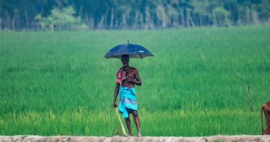 राजस्थान: मुख्यमंत्री अवधिपार ब्याज राहत योजना की अवधि बढ़ी,  किसान अब 30 सितम्बर तक जमा कर सकेंगे राशि
