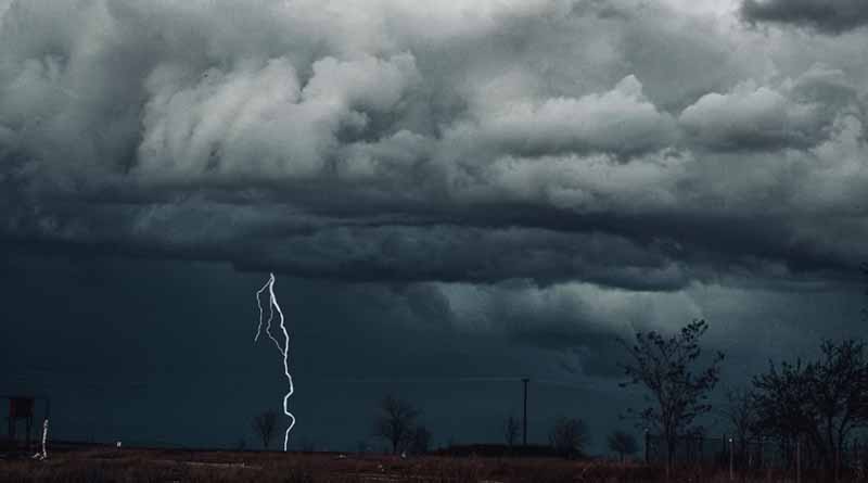 मध्यप्रदेश के इन 4 जिलों में भारी वर्षा का अलर्ट, IMD ने जारी की चेतावनी