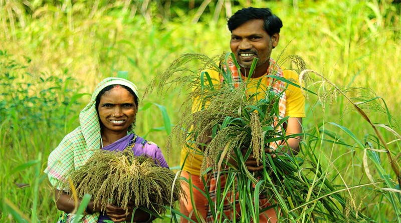मंदसौर मंडी में हम्माली कार्य हेतु आवेदन 15 अक्टूबर तक