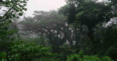 मध्यप्रदेश के 16 जिलों में भारी बारिश का अलर्ट, जानें आज का लेटेस्ट मौसम अपडेट