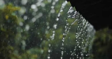 IMD पूर्वानुमान: देश के कई हिस्सों में भारी बारिश का अलर्ट, गुजरात-राजस्थान में अतिवृष्टि का खतरा