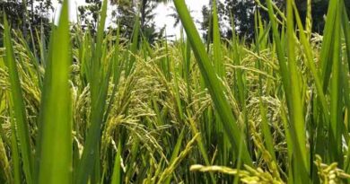 आईसीएल और बायोप्राइम मिलकर भारत में लाएँगे ‘बायोनेक्सस’ समाधान