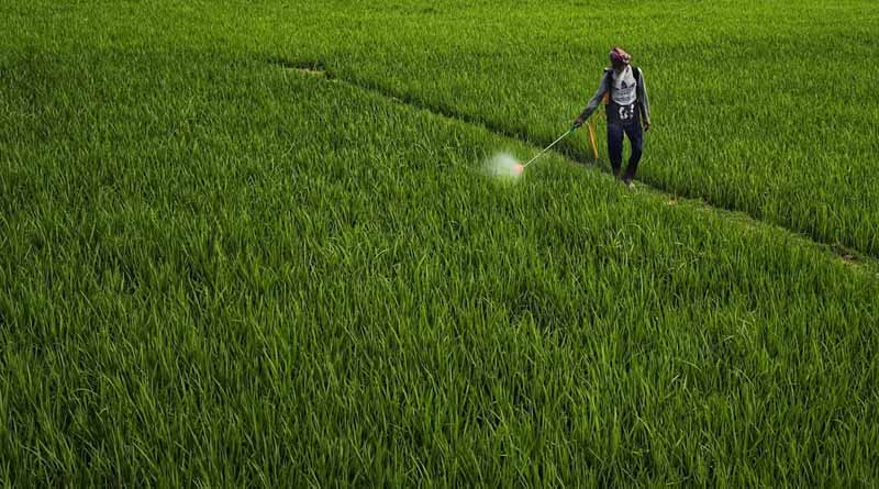 UP Tarbandi Yojana: अब आवारा जानवर नहीं करेंगे फसलें खराब, यूपी सरकार दे रही 60% सब्सिडी