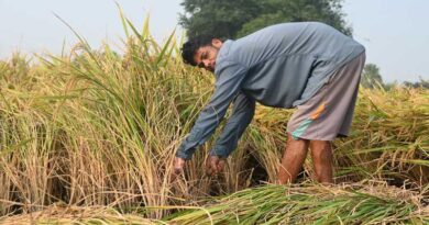 किसानों के लिए बड़ी खुशखबरी: एआई से मिलेगा मानसून का सटीक और भरोसेमंद पूर्वानुमान