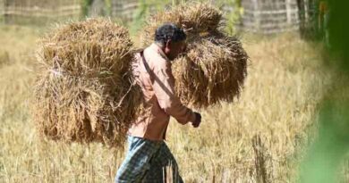 फसल बेचने के लिए स्लॉट बुकिंग की नई सुविधा, किसान खुद चुन सकेंगे समय