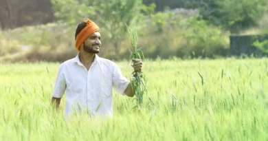 नेशनल नेचुरल फार्मिंग में आवेदन आमंत्रित