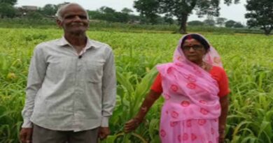 गौ सेवा की अनूठी पहल, 5 बीघा में बोई ज्वार गायों को मिलेगा हरा चारा और पक्षियों को दाना