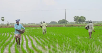 सिवनी में उर्वरक के अमानक पाए जाने पर लगाया प्रतिबंध