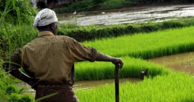 किसानों का दल भ्रमण सह प्रशिक्षण के लिए रवाना