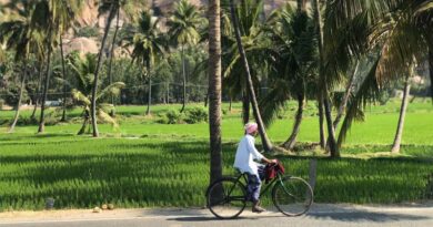 किसानों को मिलेंगे सिर्फ मान्य 146 बायोस्टिमुलेंट्स, बाजार को लगी लगाम