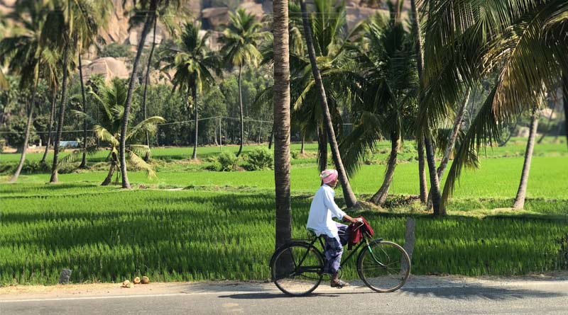 किसानों को मिलेंगे सिर्फ मान्य 146 बायोस्टिमुलेंट्स, बाजार को लगी लगाम