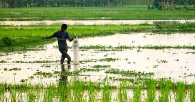 मध्यप्रदेश में किसानों को सिर्फ 5 रुपए में मिल रहा स्थायी बिजली कनेक्शन  