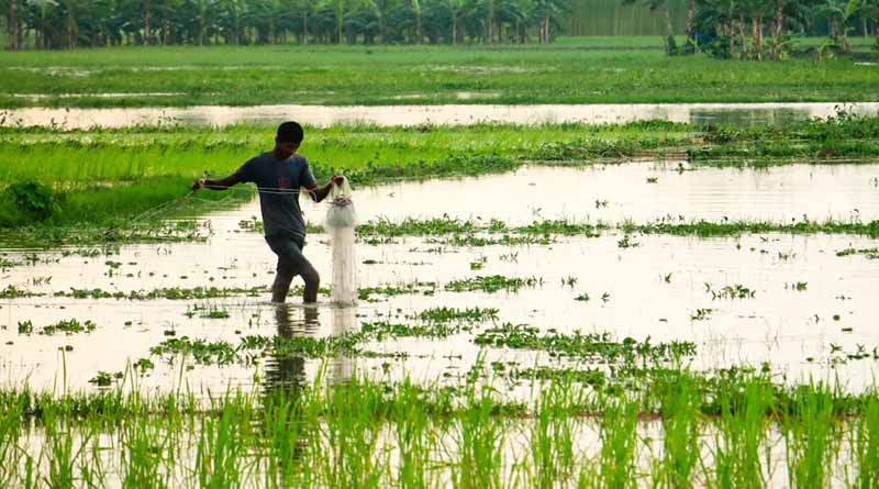 महाराष्ट्र में 14.44 लाख हेक्टेयर फसलें बर्बाद, 29 जिलों के किसानों को मिलेगा मुआवजा: कृषि मंत्री