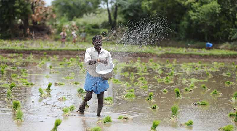 बगैर लायसेंस के उर्वरक बेचने पर विक्रेता के विरुद्ध एफआईआर दर्ज़