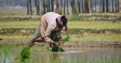 प्राकृतिक खेती को बढ़ावा देने के लिए कटनी में बनेंगे 17 बायो इनपुट रिसोर्स सेंटर, 11 सितंबर तक आवेदन आमंत्रित