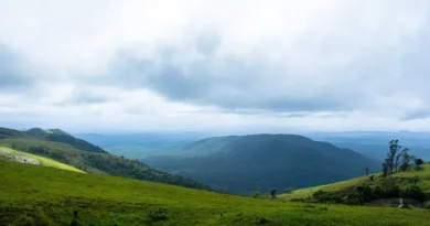 उत्तर प्रदेश के कई जिलों में गर्मी का प्रकोप, पारा पहुंचा 37°C के पार; जानें आज का ताजा अपडेट