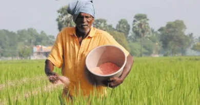 मंडला में अमानक उर्वरक का क्रय- विक्रय प्रतिबंधित
