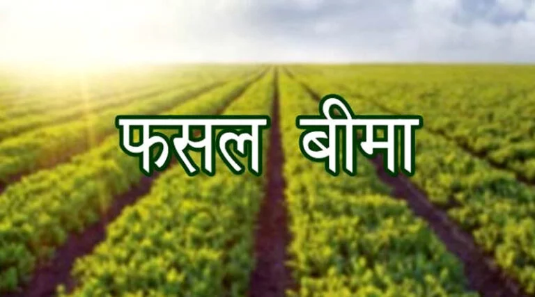 फसल नुकसान होने पर सूचना दर्ज करें शाजापुर जिले के किसान