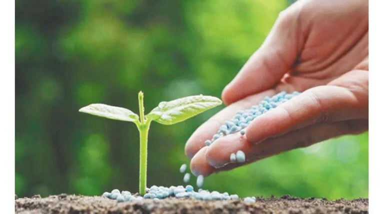 मंडला में अमानक उर्वरक का क्रय -विक्रय प्रतिबंधित