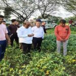 राजगढ़ जिले के कलेक्टर ने किया फसल प्रभावित क्षेत्रों का निरीक्षण, किसानों को दी महत्वपूर्ण सलाह  