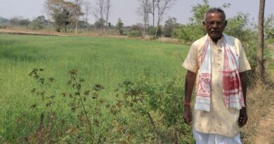 कम लागत में बड़ा मुनाफा, छत्तीसगढ़ के किसान ने इस नई तकनीक से की गेंहू की खेती, हुआ हजारों का लाभ