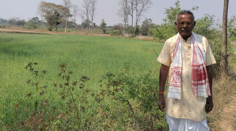 कम लागत में बड़ा मुनाफा, छत्तीसगढ़ के किसान ने इस नई तकनीक से की गेंहू की खेती, हुआ हजारों का लाभ