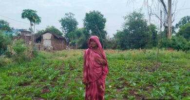 टमाटर-मिर्च की खेती से बदली किस्मत, जानिए महिला किसान आशा बाई ने सब्जियां उगाकर कैसे कमाया मुनाफा