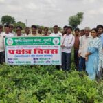 राजस्थान: कृषि विज्ञान केन्द्र बूंदी में प्रक्षेत्र दिवस आयोजित, किसानों को मिली कोटा उड़द-4 किस्म की जानकारी