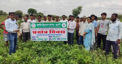 राजस्थान: कृषि विज्ञान केन्द्र बूंदी में प्रक्षेत्र दिवस आयोजित, किसानों को मिली कोटा उड़द-4 किस्म की जानकारी