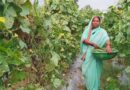 छत्तीसगढ़ की दानवती आर्मो बनी लखपति महिला किसान: आधुनिक खेती और बकरी-मछली पालन से कमाए लाखों