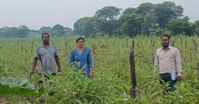 छत्तीसगढ़: रासायनिक खेती से हटकर जैविक खेती की ओर बढ़ा किसानों का रुझान, मुनाफा देख बढ़ी उम्मीदें