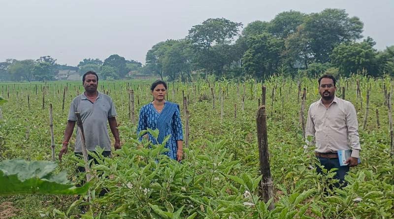 छत्तीसगढ़: रासायनिक खेती से हटकर जैविक खेती की ओर बढ़ा किसानों का रुझान, मुनाफा देख बढ़ी उम्मीदें