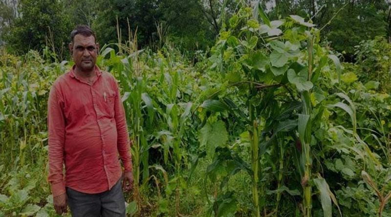 किसान भीकम सिंह ने बंजर जमीन को बना दिया उपजाऊ, फल-सब्जी और अनाज की खेती से की बंपर कमाई