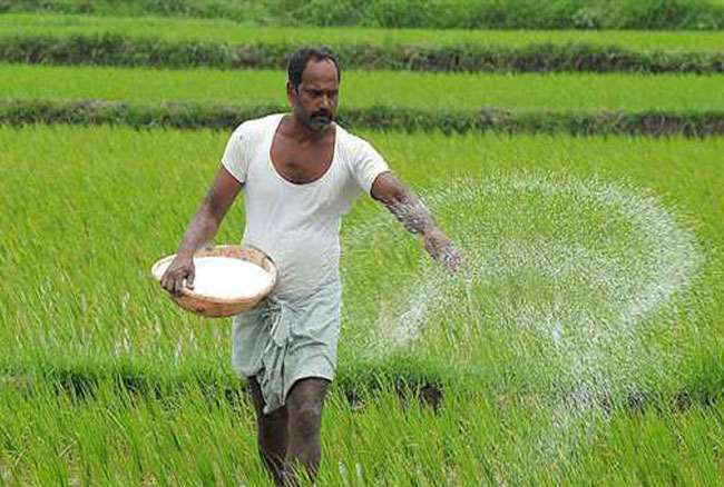 छत्तीसगढ़: किसानों को मिलेगा उचित मूल्य पर खाद, जल जीवन मिशन में गुणवत्ता सुनिश्चित करने के निर्देश