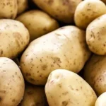 आलू की खेती से किसान होंगे मालामाल, बिहार सरकार दे रही 75% तक अनुदान