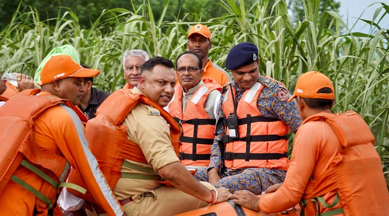भारत की खेती पर तिहरा संकट: पंजाब, महाराष्ट्र और मध्य प्रदेश में बाढ़, बारिश और फसल रोग से तबाही