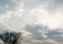 आज का मौसम: पूर्वोत्तर से दक्षिण भारत तक भारी बारिश के आसार, अगले 5 दिन इन राज्यों में होगी जमकर बरसात
