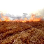 विदिशा में फसल कटाई के बाद नरवाई जलाने पर पूरी तरह से प्रतिबंध, कलेक्टर अंशुल गुप्ता ने जारी किया आदेश