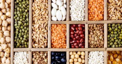 हनुमानगढ़ में कृषि मंत्री ने की छापेमारी: 2 कृषि फर्मों के बीज उत्पादन में मिली अनियमितताएँ, पंजीकरण निरस्त