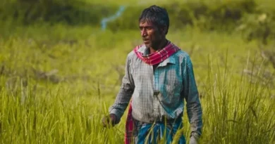 पंजाब: बाढ़ से जूझ रहे किसानों को 13 अक्टूबर से मिलेगा मुफ्त गेहूं बीज, लोन चुकाने की मियाद भी बढ़ी