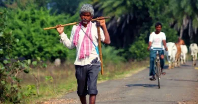 राष्ट्रीय FPO समागम: 267 एफपीओ, कृषि विशेषज्ञ, 140 जिलों के 500 किसान जुटेंगे एक मंच पर, कृषि नवाचारों का होगा प्रदर्शन
