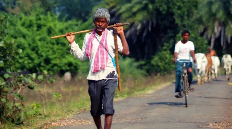 प्रधानमंत्री धन-धान्य योजना क्या है? 100 पिछड़े जिलों के किसानों को कैसे मिलेगा फायदा, यहां समझें पूरा गणित