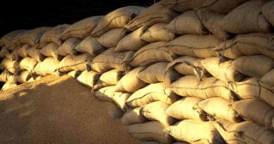 केंद्र ने मार्च 2026 तक गेहूं की स्टॉक सीमा की तय, अब व्यापारी 2000 मीट्रिक टन से अधिक नहीं रख पाएंगे गेहूं