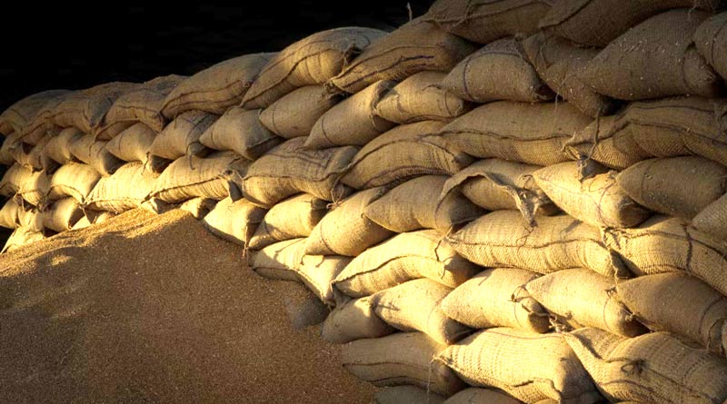 केंद्र ने मार्च 2026 तक गेहूं की स्टॉक सीमा की तय, अब व्यापारी 2000 मीट्रिक टन से अधिक नहीं रख पाएंगे गेहूं