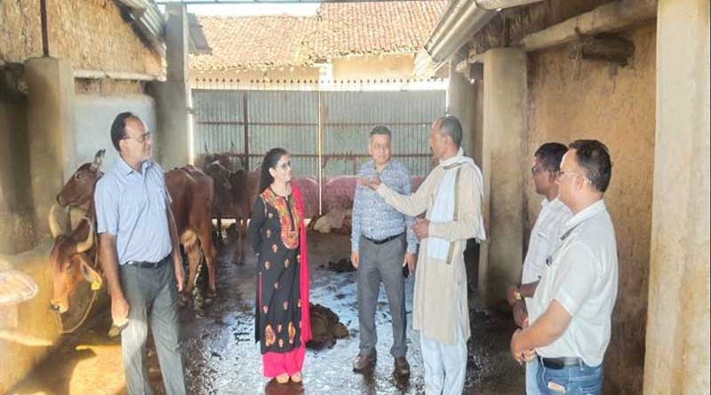 अनूपपुर में दुग्ध समृद्धि सम्पर्क अभियान जारी