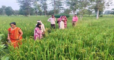 किसानों के लिए वरदान साबित हो रही प्राकृतिक खेती
