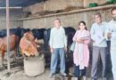 खंडवा जिले में उन्नत पशु पालकों से जीवंत संपर्क जारी